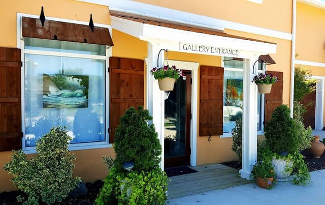 The Path Art Gallery - Image 1