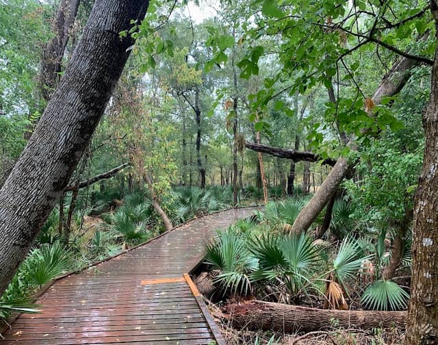 Palmetto State Park - Image 2