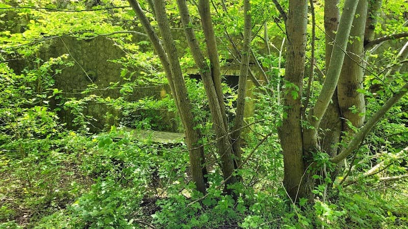 Strabrand Bunker - Image 1