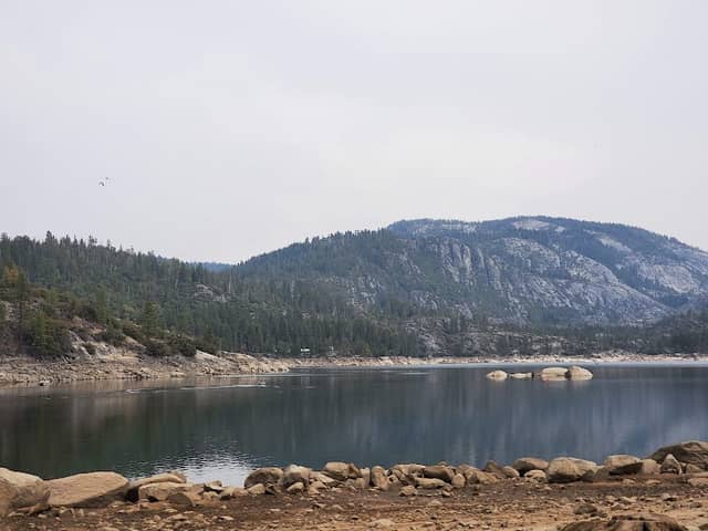 Stanislaus National Forest - Image 2