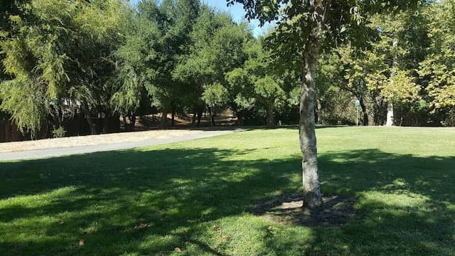 Brazil Quarry Park - Image 1