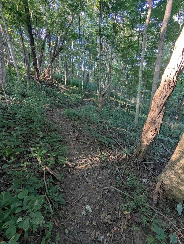Riverview Preserve - Image 1