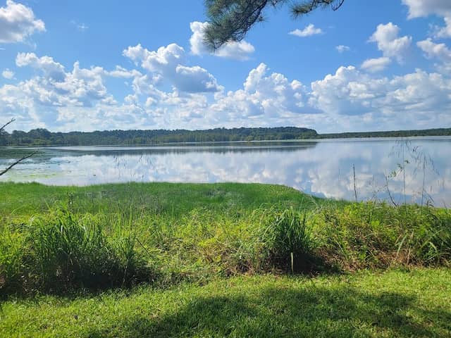 Noxubee National Wildlife Refuge - Image 3