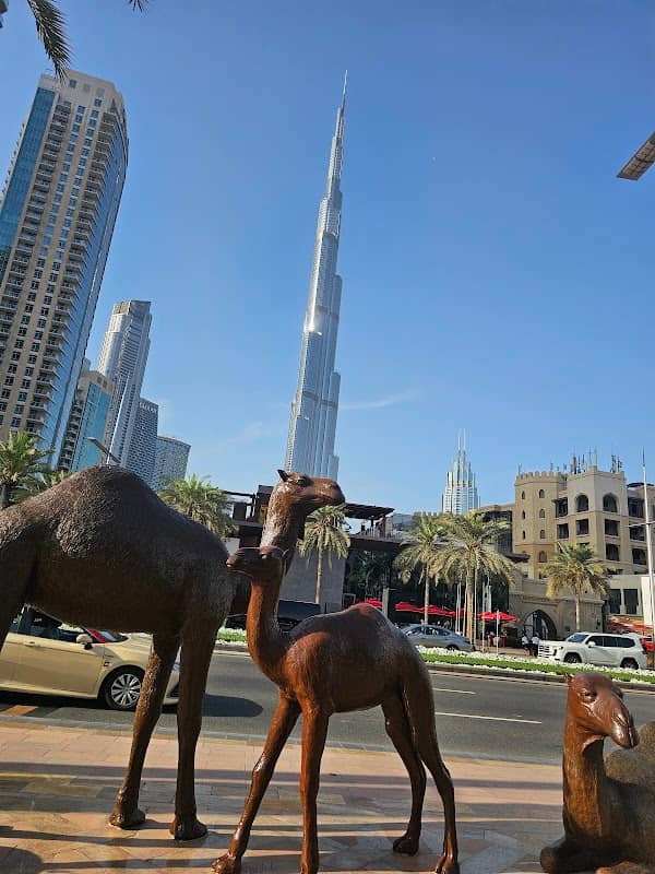 Camels View - Image 2