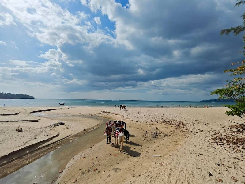 Horse Riding Phuket By Khun cowboy - Image 2