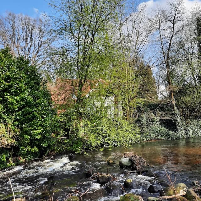 Horster Mühle Wanderweg - Image 2