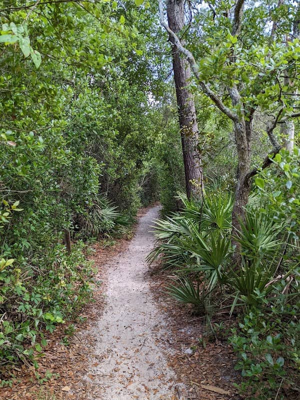 Lyonia Preserve Trail Head - Image 2