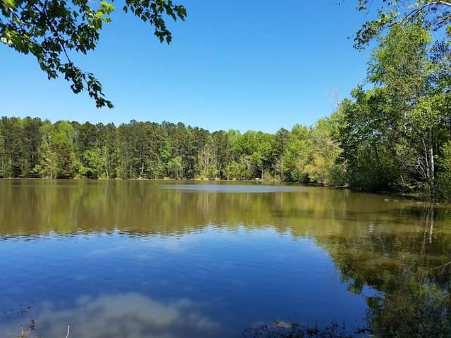 Mayor's Fishing Hole - Image 1
