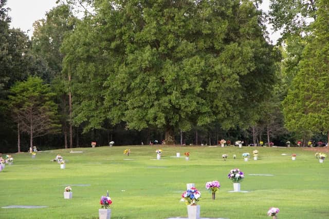 Autumn Woods Memorial Park - Image 2