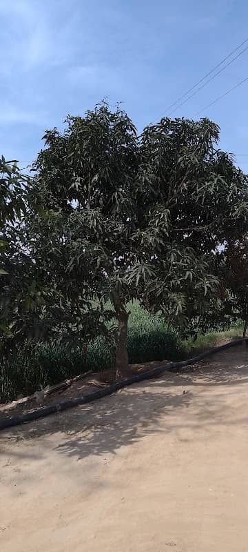 ANavi farm - Image 1