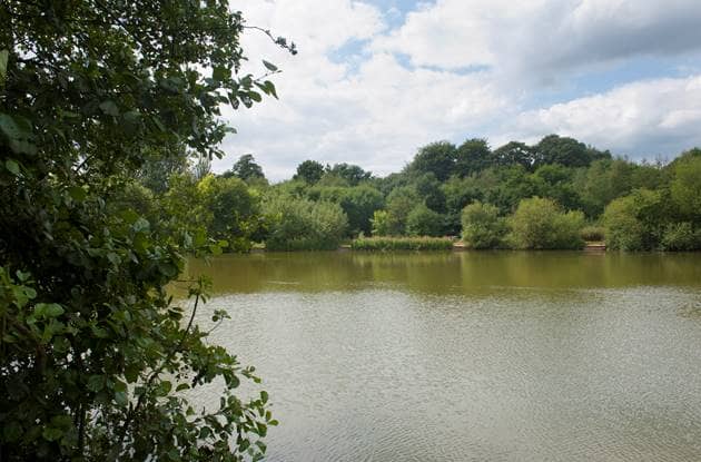Duck viewpoint - Image 1