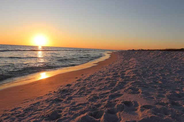 Grayton Beach State Park - Image 2