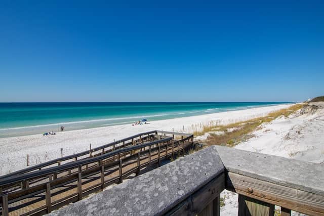 Grayton Beach State Park - Image 3