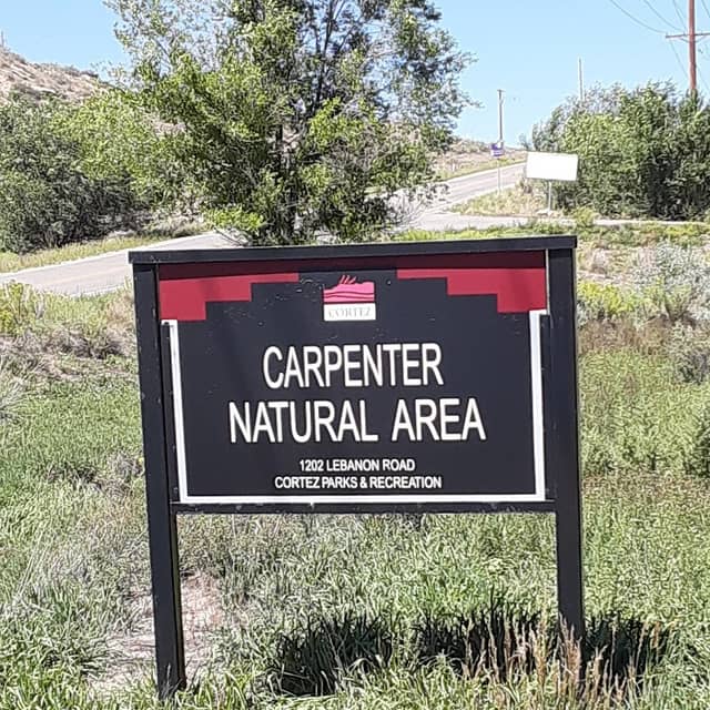 Carpenter Natural Area - Image 2