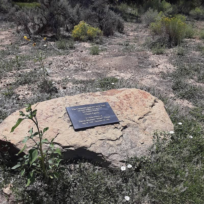 Carpenter Natural Area - Image 3