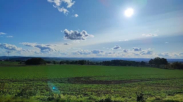Hoher Berg bei Manrode - Image 1