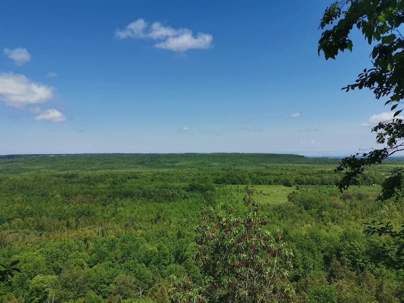 Bayview Escarpment Provincial Nature Reserve - Image 1