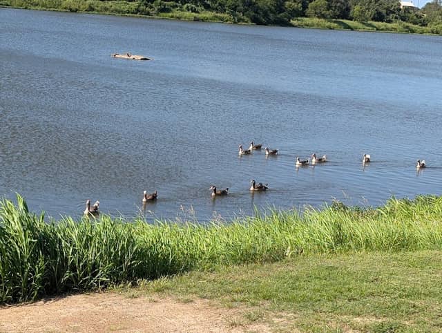 Robinson City Park - Image 2