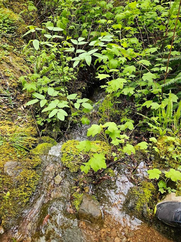 French Hill Trailhead - Image 1