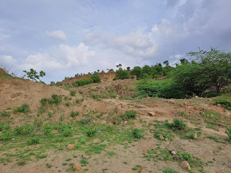 Gowardhan hills (Tekdi) - Image 1