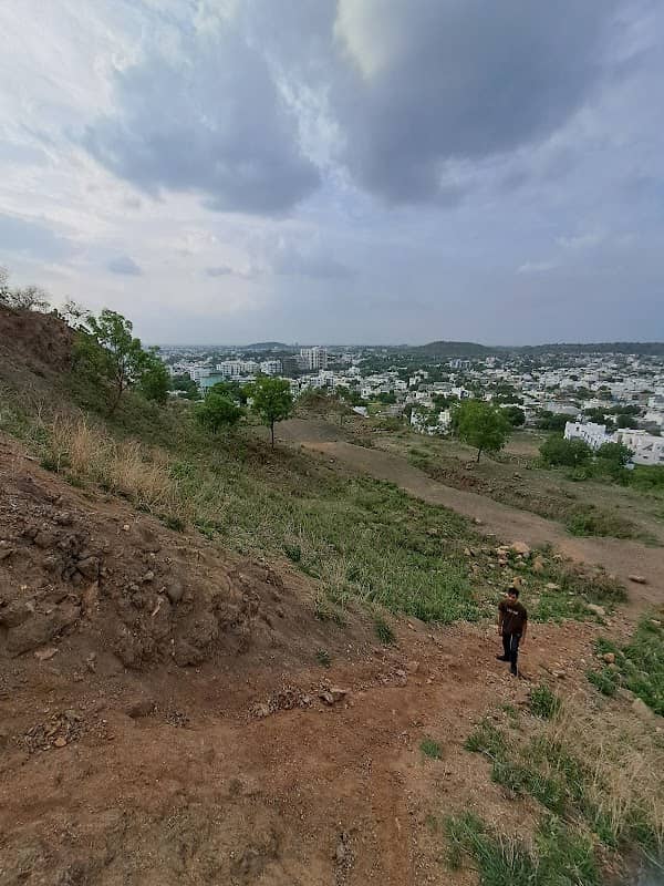 Gowardhan hills (Tekdi) - Image 2