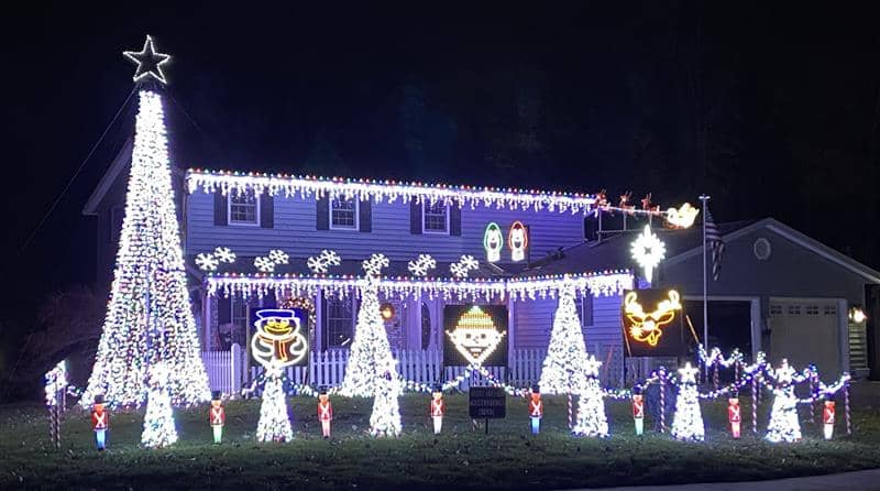 Walker Winter Wonderland (Computerized Light Show) - Image 1