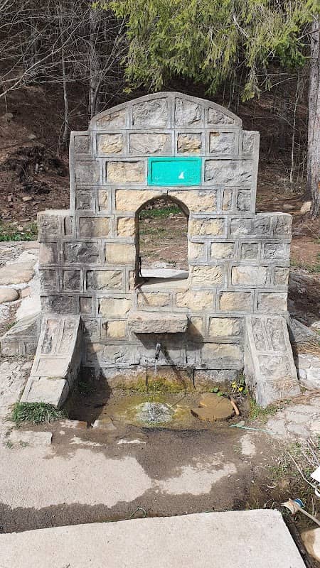 Izvor piatra Lepșa - Image 1