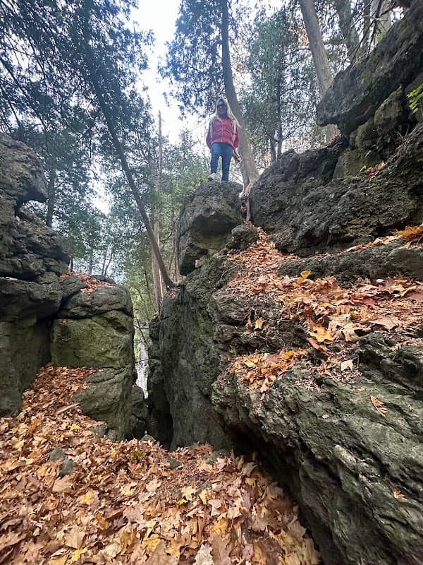 Mount Nemo Conservation Area - Image 2