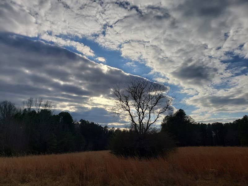 Ledge Creek Forest Conservation Area - Trailhead #1 - Image 3