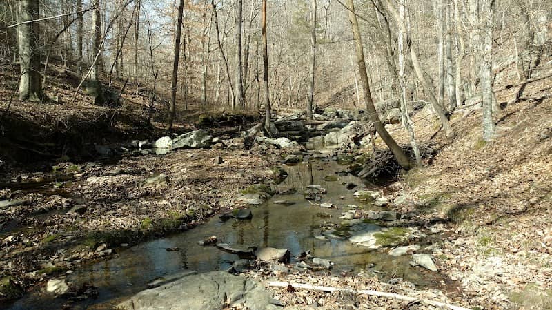 Ledge Creek Forest Conservation Area - Trailhead #1 - Image 2