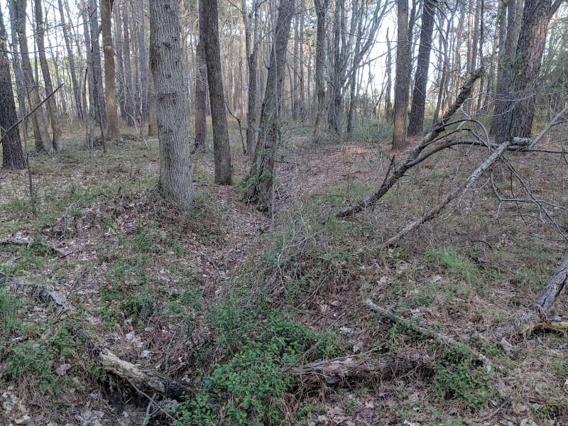 Ledge Creek Forest Conservation Area - Trailhead #1 - Image 1