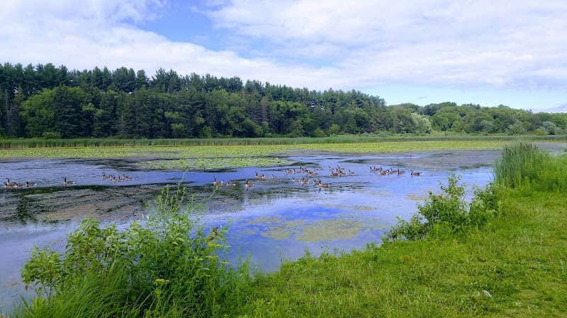 Cadiz State Recreation Area - Image 1