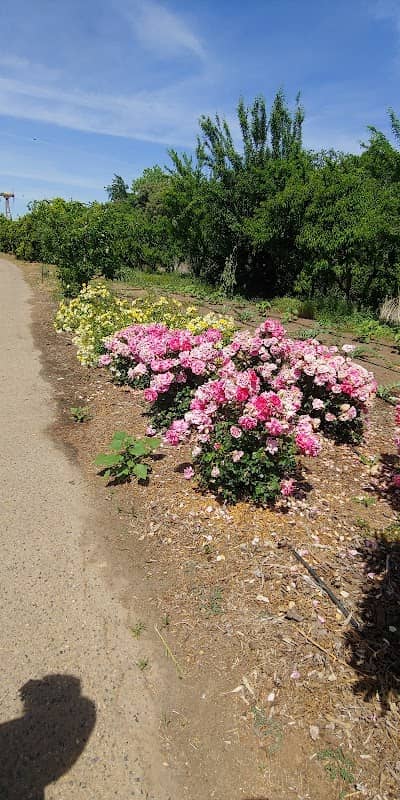 Woodlake Botanical Garden - Image 2