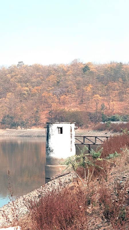 Beautiful forest Road towards Wardha - Image 1
