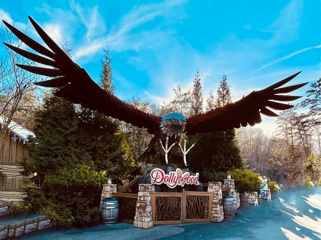 Dollywood - Image 3