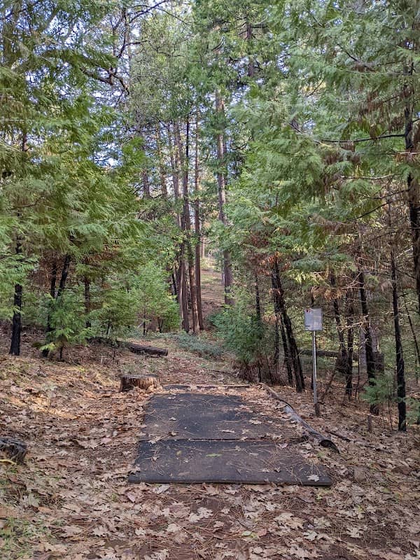 Mollie Joyce Park - Image 2