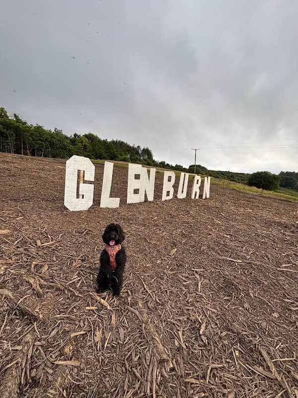 Glenburn "Hollywood" Sign - Image 1