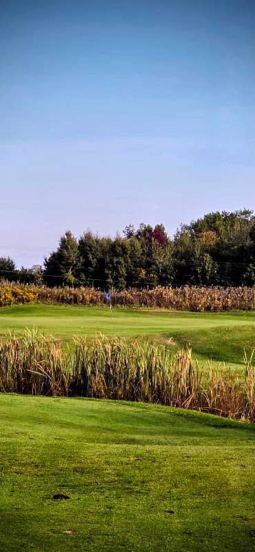Lakewood Shores Resort - Image 1