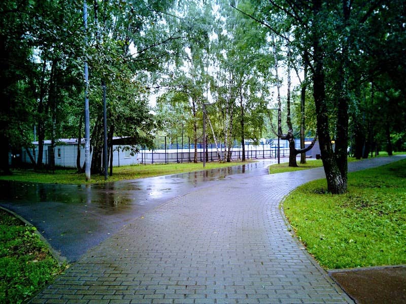 Severnyye Dubki - Image 2