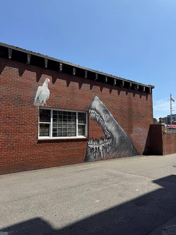 Shark Wall - Image 2