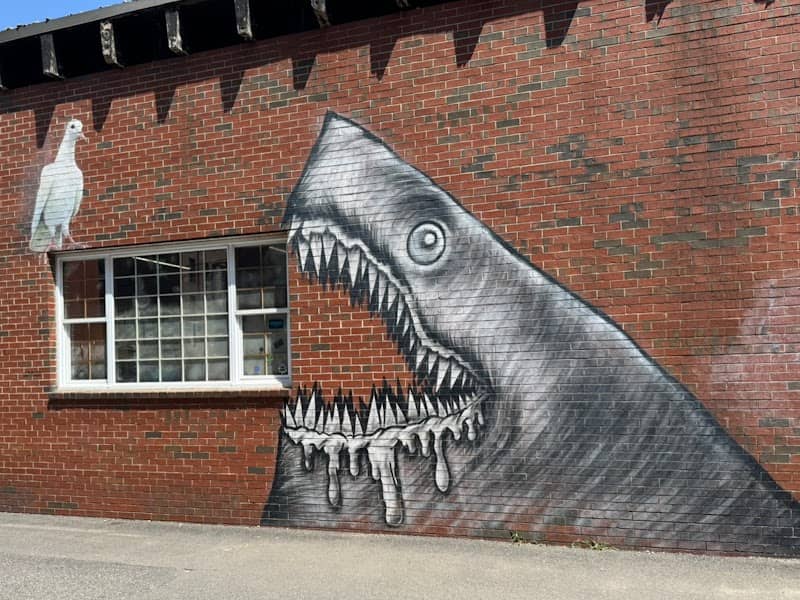 Shark Wall - Image 3