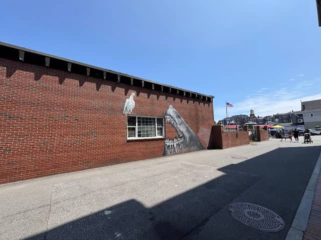 Shark Wall - Image 1
