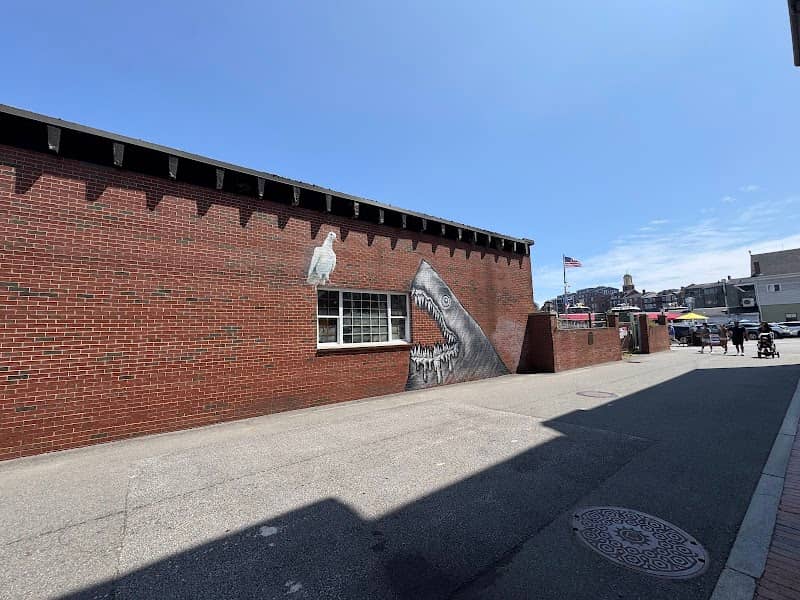 Shark Wall - Image 1