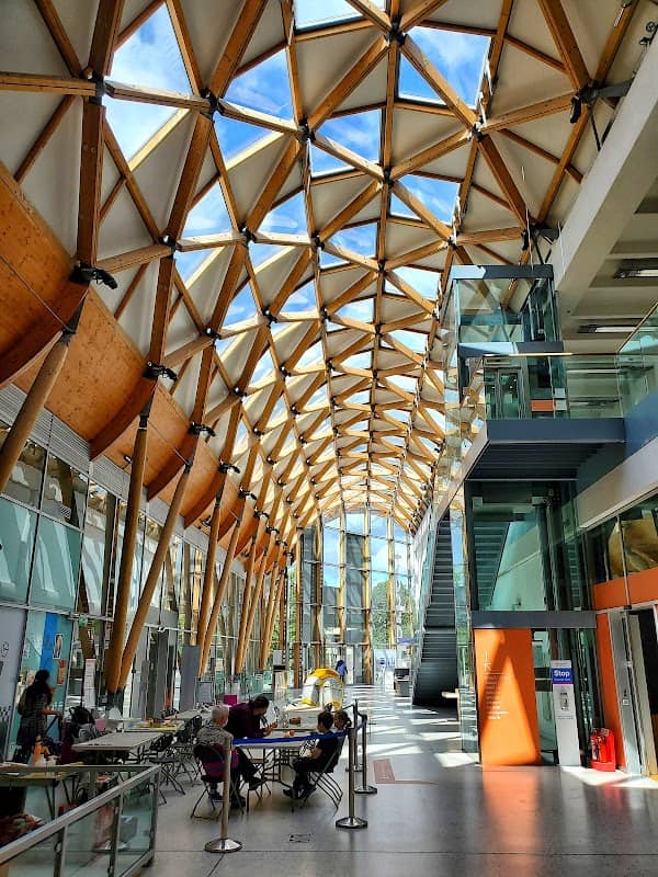 Herbert Art Gallery & Museum - Image 2