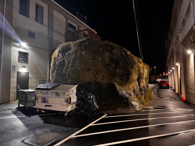 The Great Bellingham Boulder - Image 1