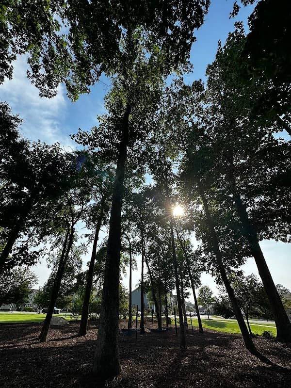 The Grove - Image 1