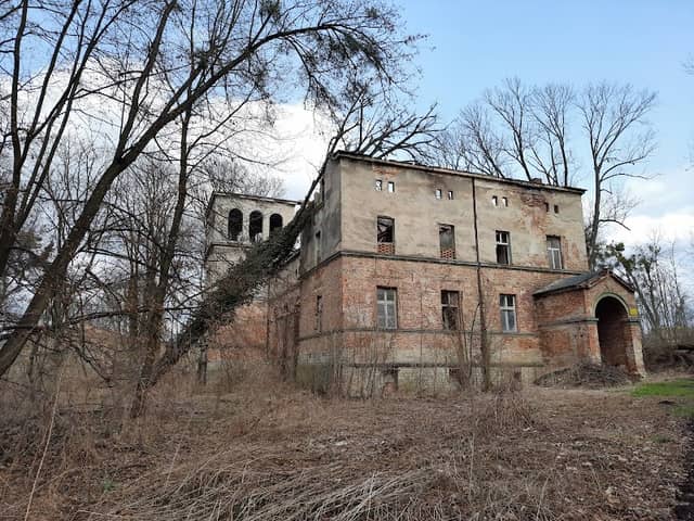 Park Dworski - Image 1