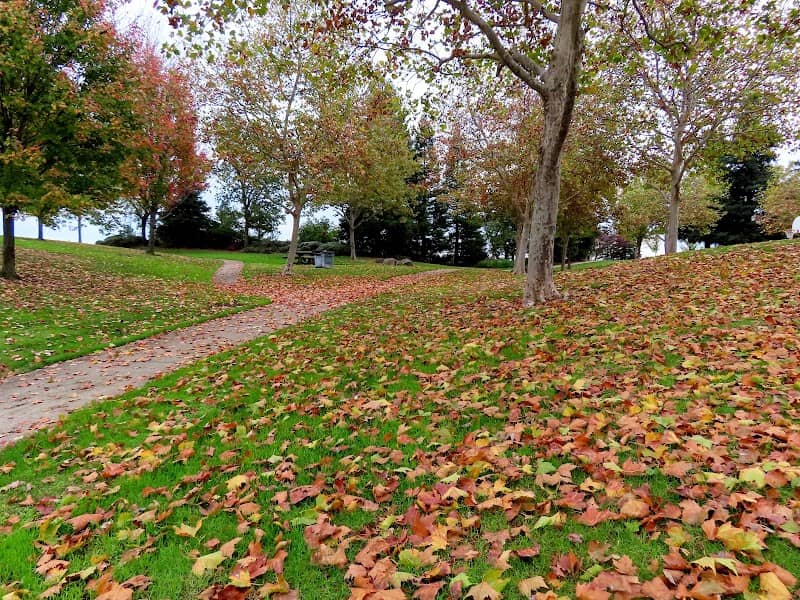 Clarke Dominguez park - Image 1