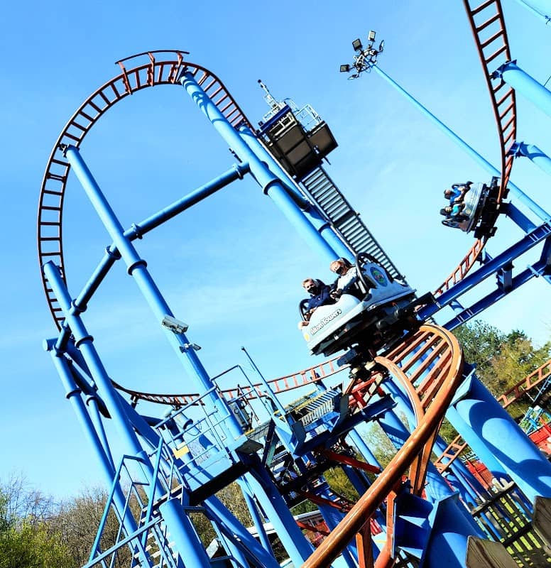 Spinball Whizzer - Image 2
