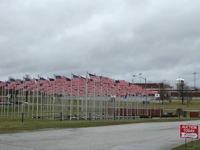 The Healing Field - Image 2
